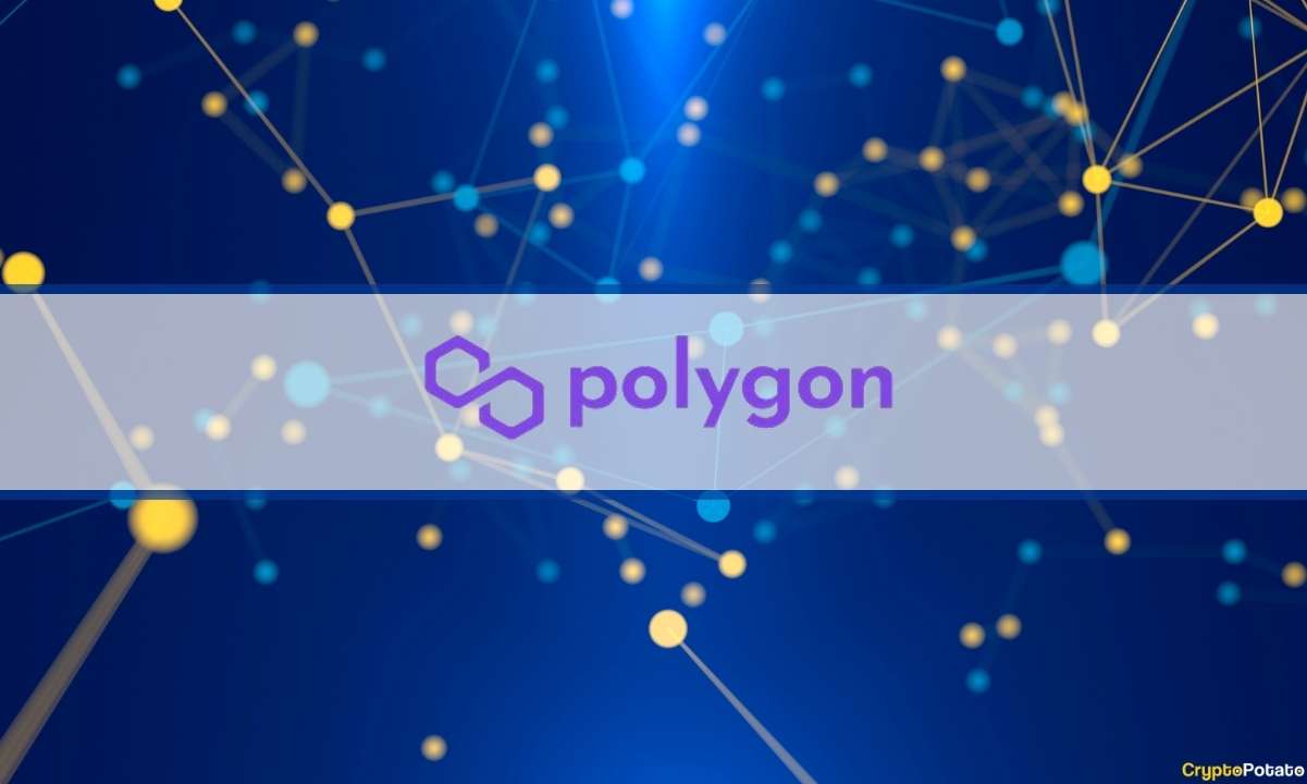 Polygon Labs' Legal Team Pushes For OCCIP's Oversight