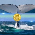 Dogecoin Whales Signal Bullish Sentiment, Stack Up 200 Million DOGE