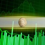 Bitcoin Profit-Taking Slows as Long-Term Holders Hold Steady in August