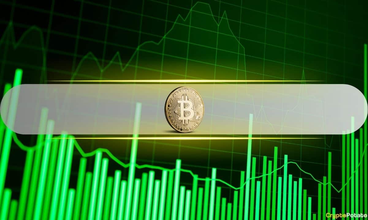 Bitcoin Profit-Taking Slows as Long-Term Holders Hold Steady in August