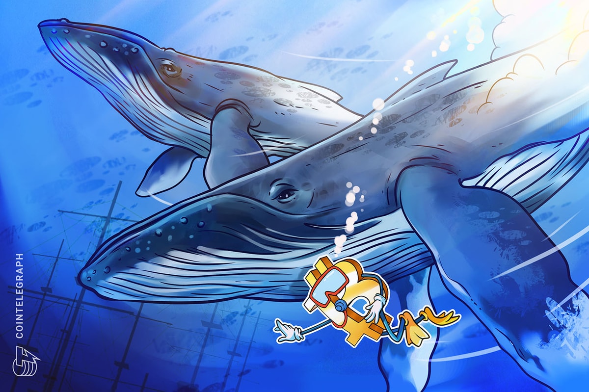 Bitcoin Whale Shifts to ETH With $295 Million Long Position