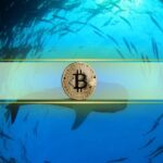 Historical Data Hints at Upward Price Momentum