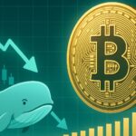 Bitcoin Whale Supply Falls To 3.52M BTC – Details