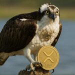 REX-Osprey to debut first XRP ETF in the US this week