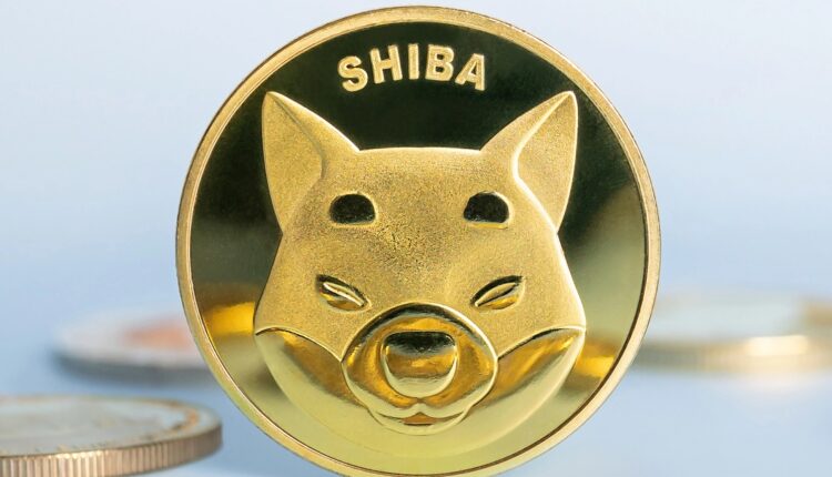 Shiba Inu forecast as bulls eye breakout after deep accumulation