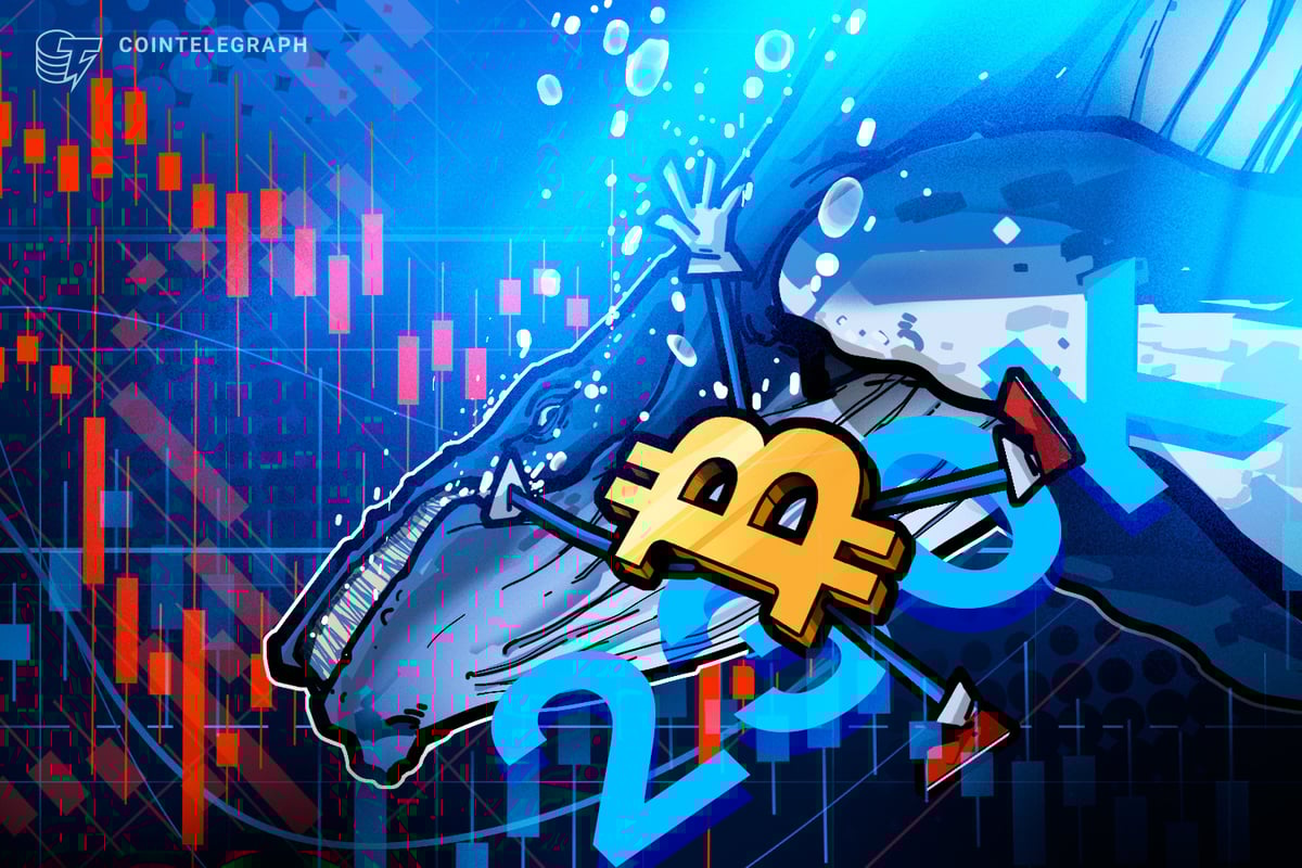 Bitcoin Whales Rebuild Reserves With 236K BTC in 90-days