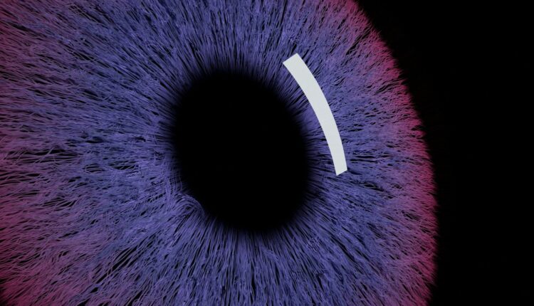 Family offices turn to AI for financial data insights